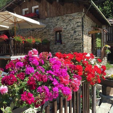 B&B Vinicola23 Limone Piemonte Ruang foto