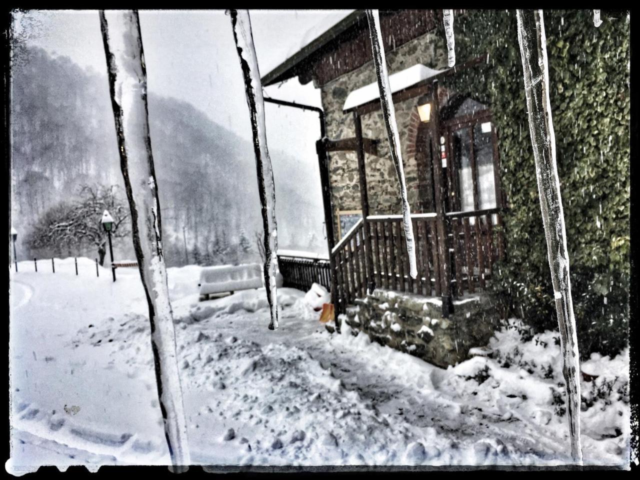 B&B Vinicola23 Limone Piemonte Bagian luar foto