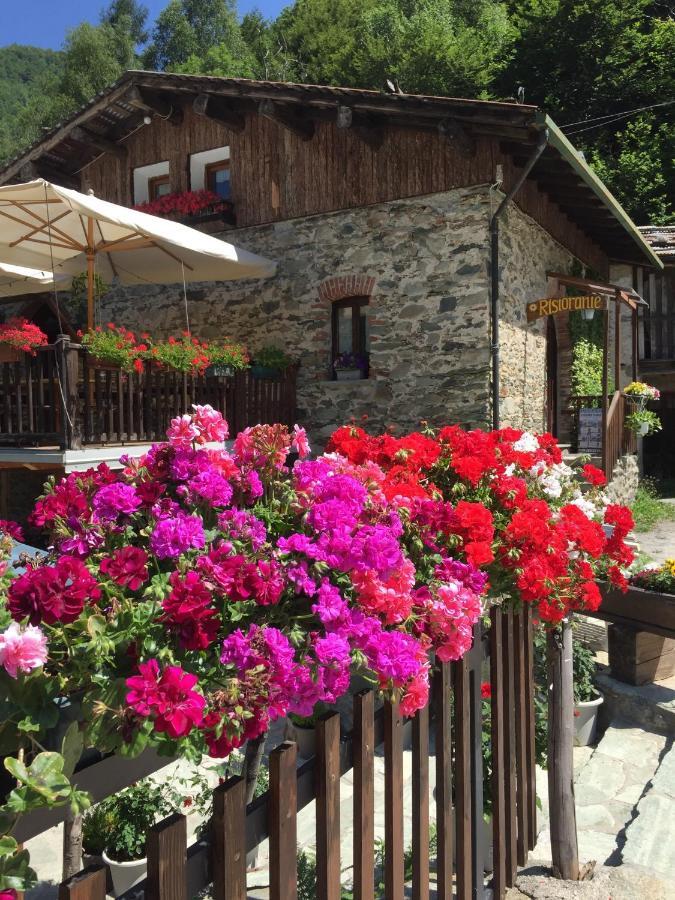 B&B Vinicola23 Limone Piemonte Ruang foto